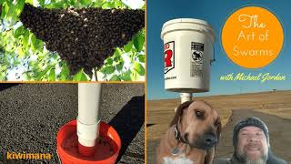 Swarm Trapping bees with a Mobile Swarm Trap - Michael Jordan - KM104