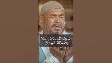 قال رب إني ظلمت نفسي  الآية 16 من سورة القصص #المنشاوي #quran 1