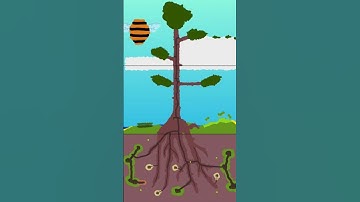 This Terraria 2 Reveal is Insane...