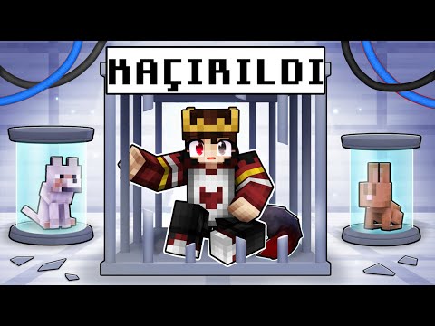 BAYDOKTOR VS MİNECRAFT