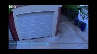 Bee attacks camera