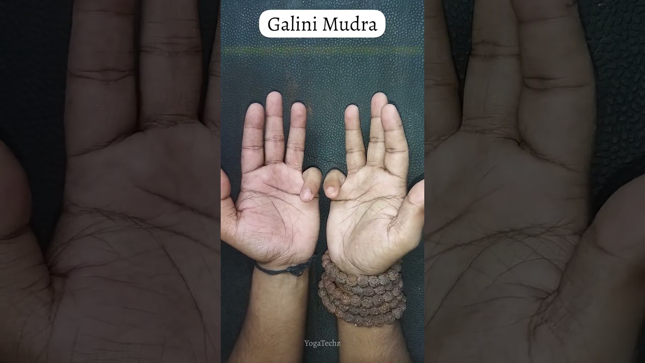 Galini Mudra || negative energy remover || 