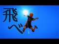 [MAD] ハイキュー×ワタリドリ