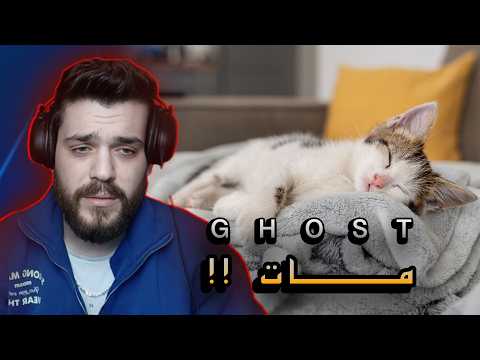 القط لي داويته وربيته مات