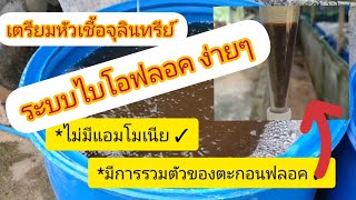 การเลี้ยงปลาระบบไบโอฟลอค EP.9 #การเตรียมฟลอค #biofloc fish farm