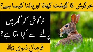 kia kharghosh (Rabbit) halal hai ya haram | Farid Info Hub