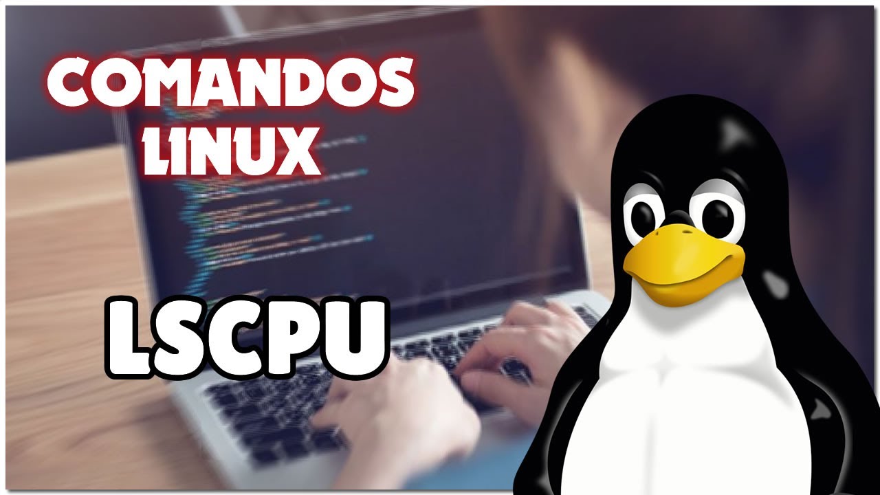 Comandos Linux! Hoy: lscpu 