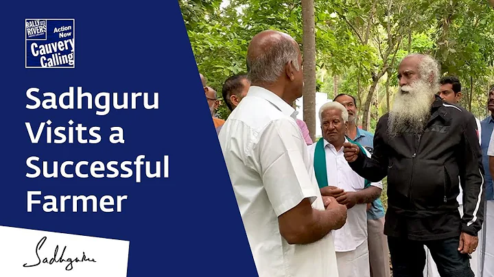 Sadhguru Visits A Successful Agroforestry Farm