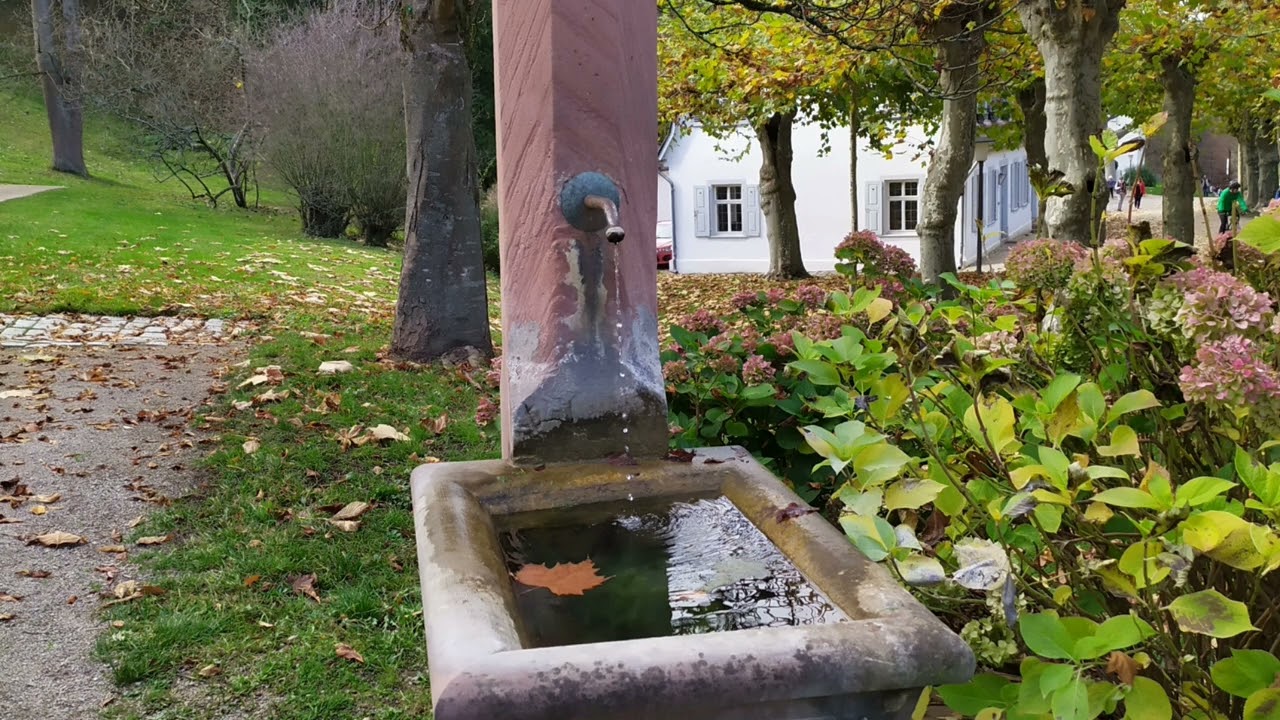 Fürstenlager.Бенсхайм-Ауербах.Германия.Летняя деревня для аристократов в прошлом..🌲🤪🌲