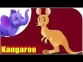 Animal Songs For Kids Kangaroo Song