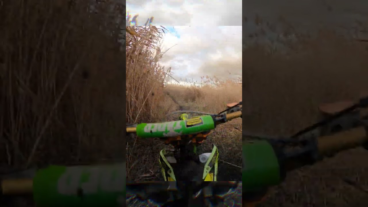 Заехали в Болото на мотоциклах 