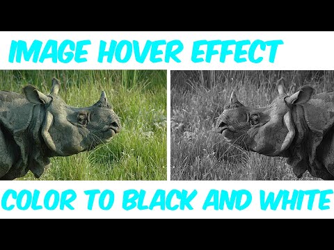 How to create image hover effect  | Black & white to color image