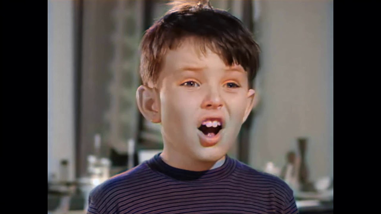 YTP - The Beaver (colorized)