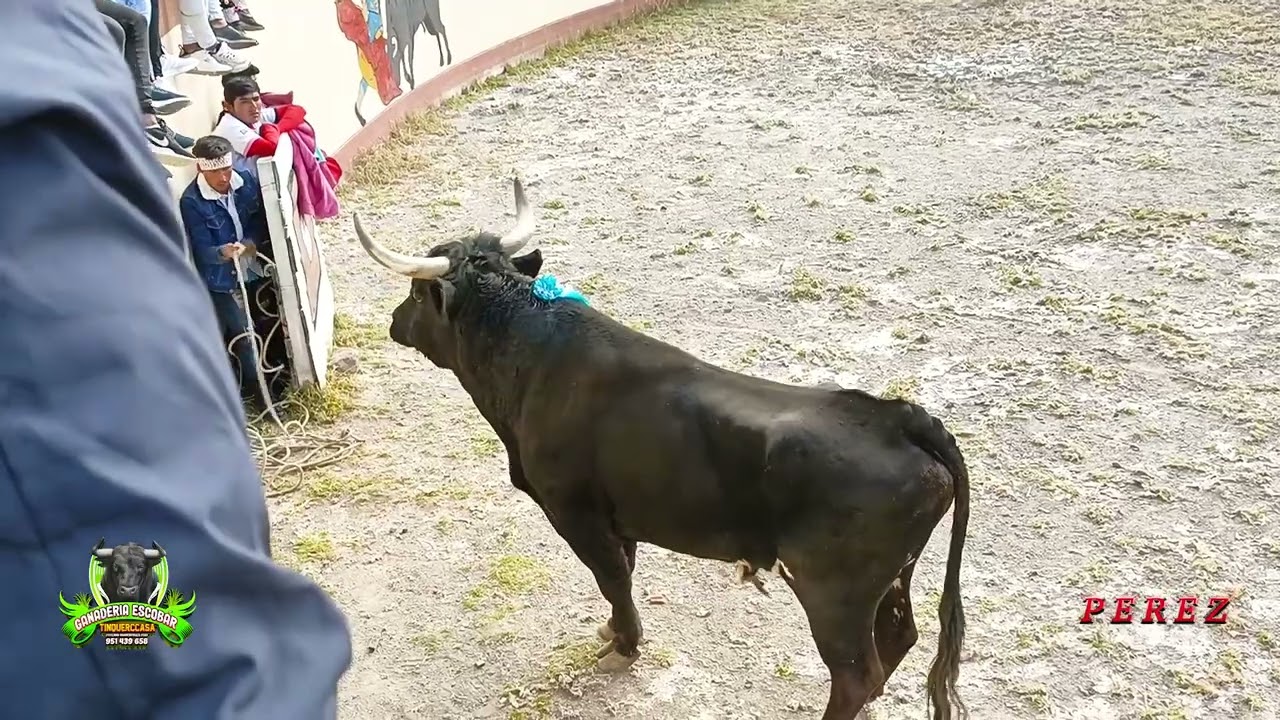 CORRIDA DE TORO PAUCARA 2022