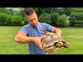 WE FOUND A GIANT AFRICAN TORTOISE IN OUR BACKYARD!!!