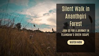 Silent Walk in Ananthgiri Forest | Telangana’s Green Escape screenshot 4