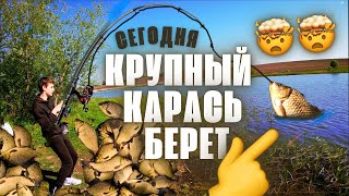 Я таких КАРАСЕЙ еще не ЛОВИЛ!!! Еле УСПЕВАЮ следить за ТРЕМЯ удочками!..