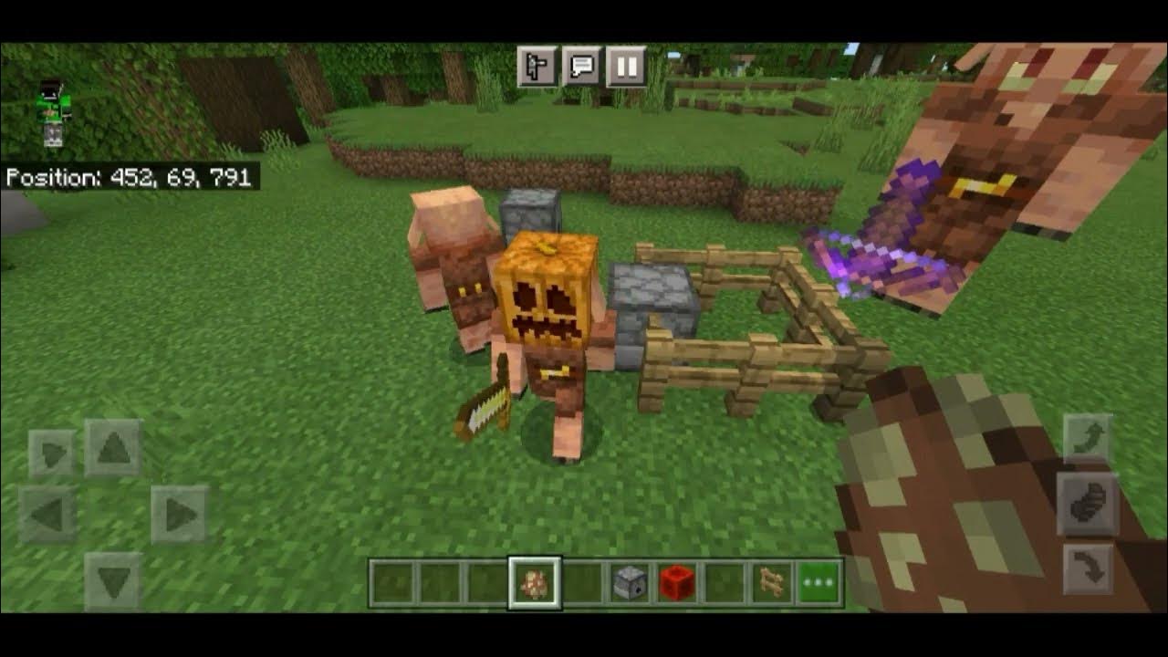 can piglins wear a pumpkin head YouTube