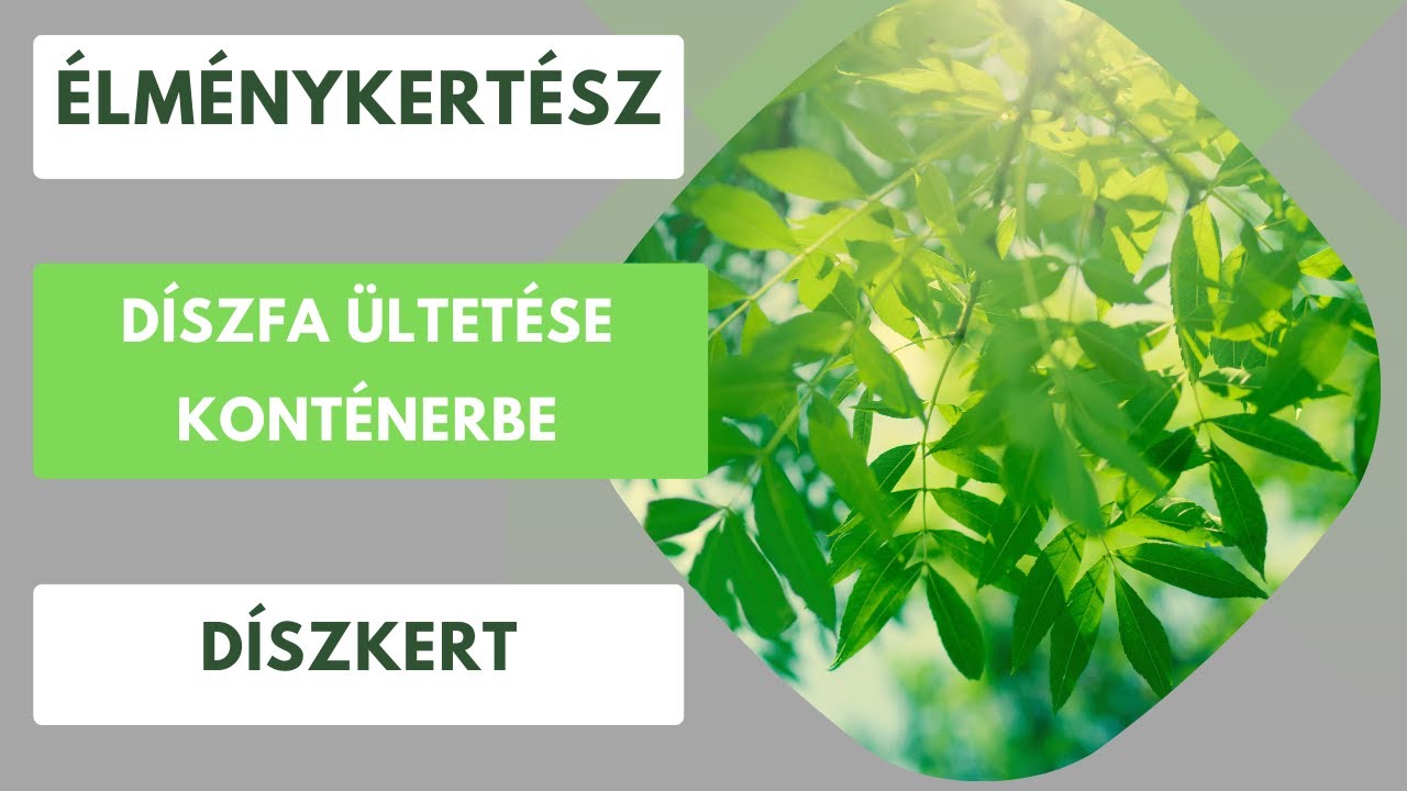 Faültetés mezőgazdasági kosárba🌳