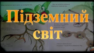 Пiдземний свiт Казки для наймолодших. Baby Book Сказки на ночь. Слушать сказки онлайн