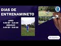 CICLO VERANO 2022