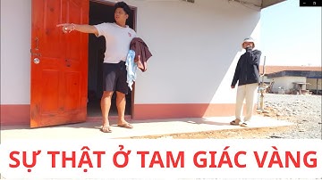 VÙNG ĐẤT KHÔNG AI DÁM BƯỚC VÀO – SỰ THẬT RÙNG RỢN Ở TAM GIÁC VÀNG LÀO