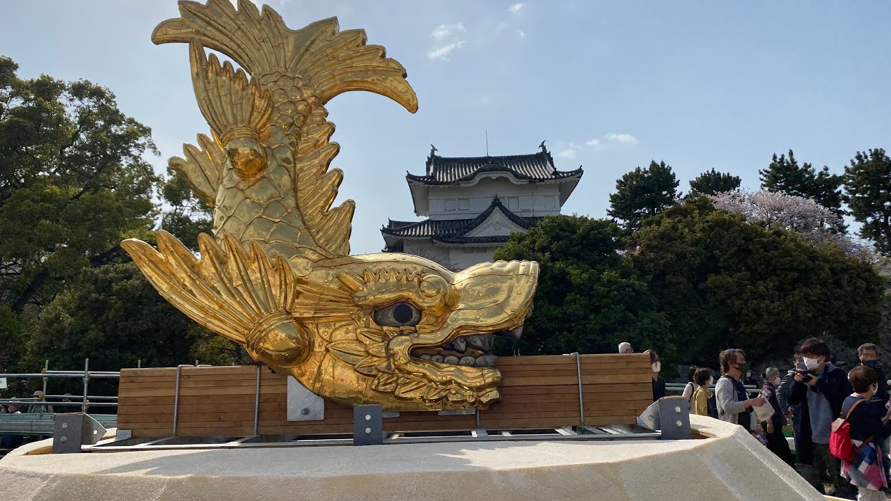 [Vlog]名古屋城の金鯱が降り立ったので観てきた！ - YouTube