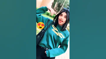 Rai 2025 اغاني راي 