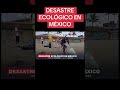 DESASTRE ECOLÓGICO EN MEXICO