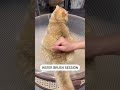 وداعاً لحمام القطط 🚫🐱 مشط PuffEase Spritz – يزيل الوبر ويمنع كرات الشعر بدون تعب