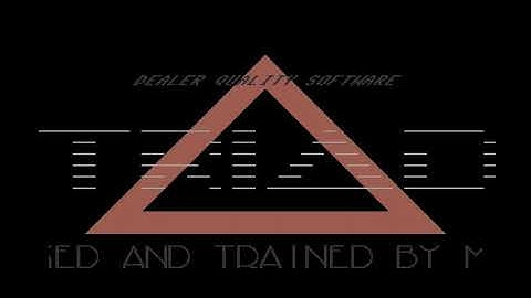 C64 Intro: 1995 TRIAD