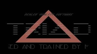 C64 Intro: 1995 TRIAD