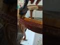 gruntowanie i szlifowanie #wood #politura #renowacja #drewno #majsterkowanie