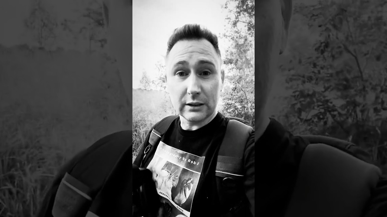 Macro Photography at Oxley Creek Common