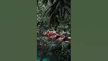 Thumbnail of Fourteen Roses Boutique