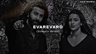 Animal - Evarevaro (Slowed + Reverb) || Ranbir, Rashmika || VLN Music