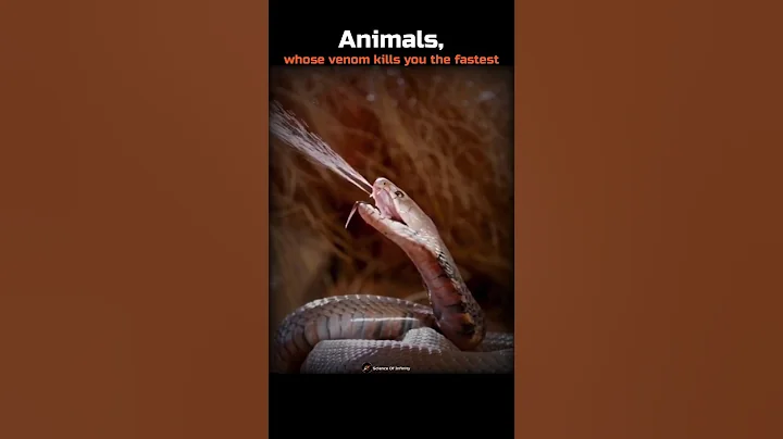 Animals, whose venom kills you the fastest! 💀🤯 #Shorts #Animals #Biology #Science #Venom thumbnail