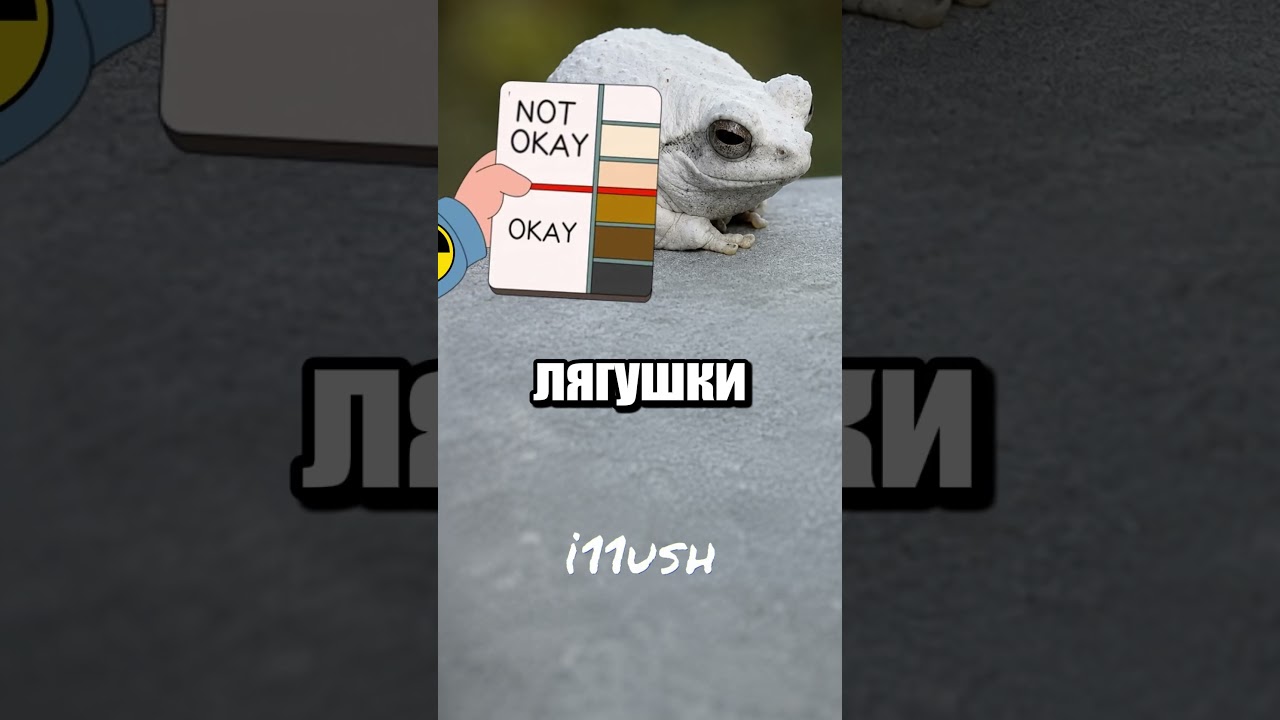 Чернобыльские лягушки: почему они темнеют при приближении к реактору?