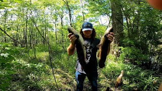 The best way to catch mudfish/bowfin (we had a bite every cast!!)