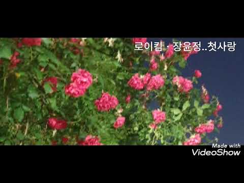 로이킴ㆍ장윤정 .첫사랑