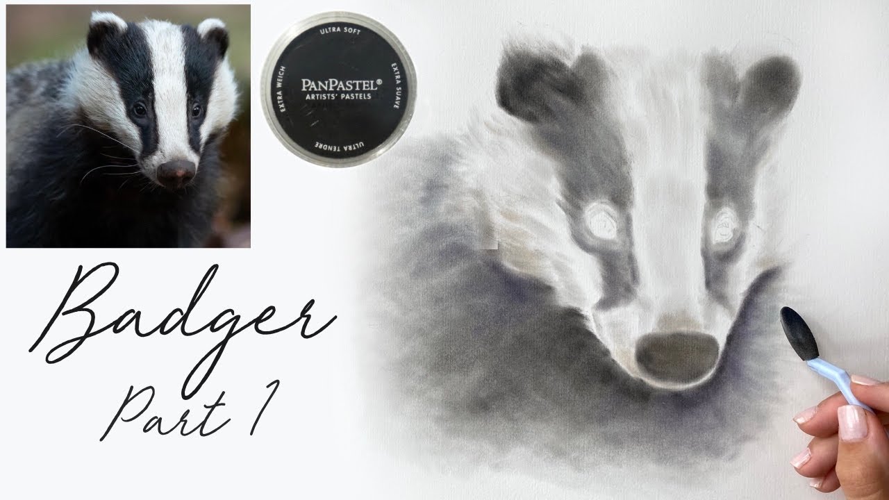 PERFECT* Set of PanPastels for ANY Realistic Drawing! // Wildlife