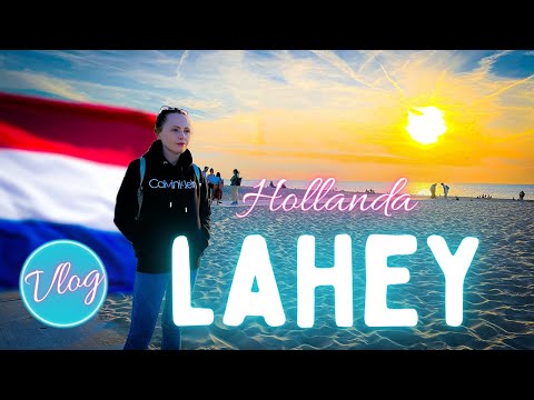 İşte Hollanda'da Taşındığımız Şehir | Lahey | Den Haag | The Hague - Hollanda'nın Plajı ve Sahili.