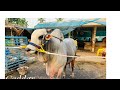 HAPPY NEW YEAR TO ALL RK BULLS AND SIMHA FANS🦁🦁🔥❤️🔥