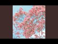 ハナミズキ (feat. 一青窈) (Cover) (Remix by Hiro) (No.3)