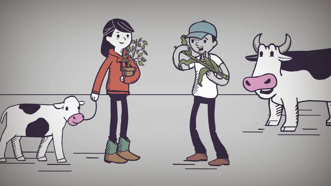 Everything Is Chemical