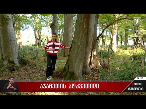 აჯამეთის აღკვეთილი