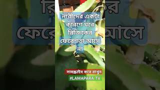  নারীদের কারণে ফেরেশতা আসেমাওলানা viral মুফতি ওয়াজ news reelsvideo 2023