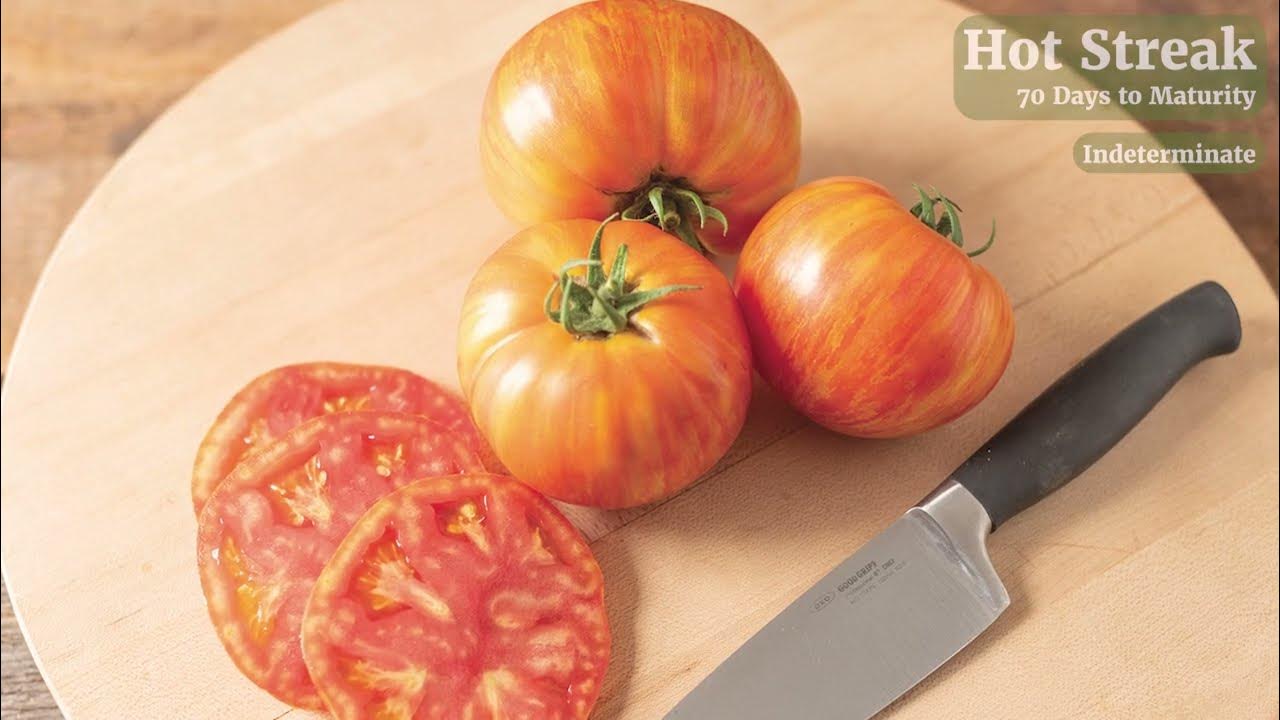 'Hot Streak' The Vibrant New Striped Tomato Exclusively from Johnny