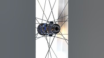 Backpedalling on a bike with a freehub wheel. How does it work???