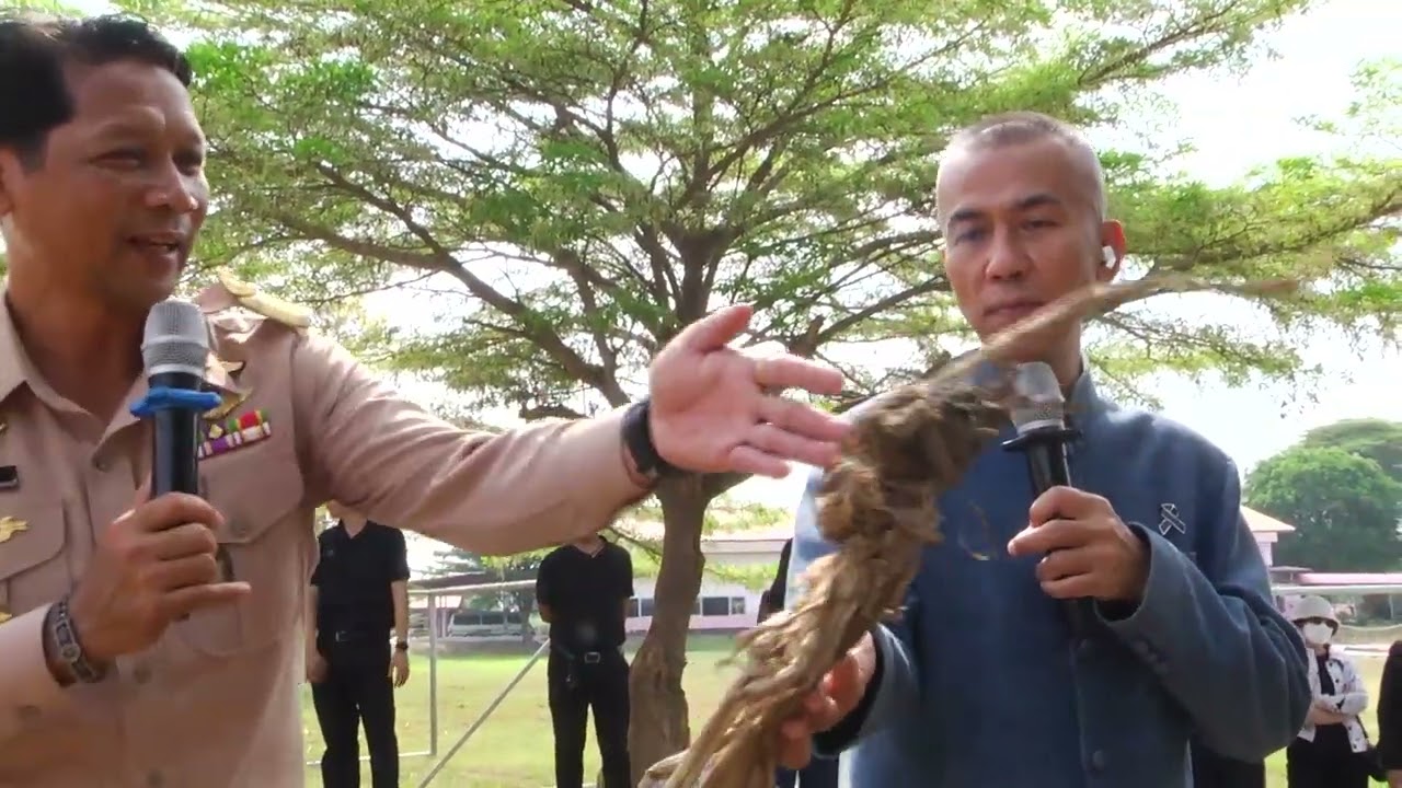 สุพรรณบุรีผู้ว่าสุพรรณบุรีนำเกษตรกรนัทำปุ๋ยหมักปลุกกระแสไม่เผาเเต่สร้างรายได้